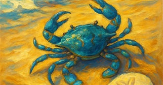 Movies I&#39;ve Seen and Can Remember