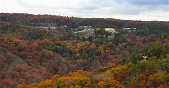 Grown Up Books Set in Kentucky