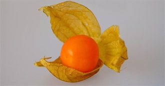 International Fruit Day - Top 10 Vitamin B3 Fruits