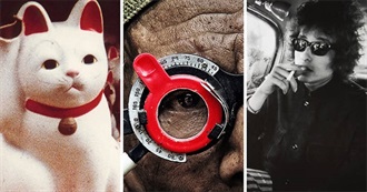 Time Out&#39;s 50 Best Documentaries of All Time