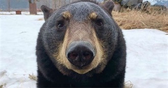 Tan&#39;s 100 Fave Movies!