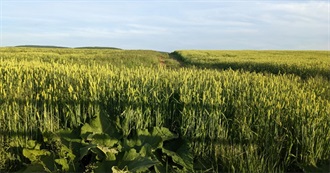 Heep&#39;s TBR Books