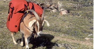 Way off the Beaten Track