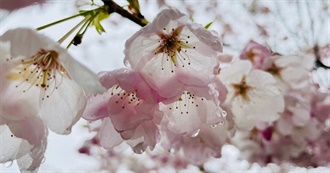 Caius&#39; Books That Changed His Life Check