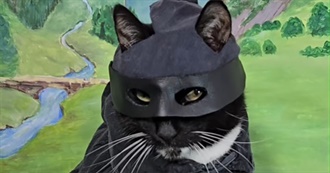 Rebecca&#39;s Top 100 Movies