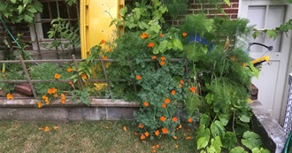 50 Best Actresses of All Time