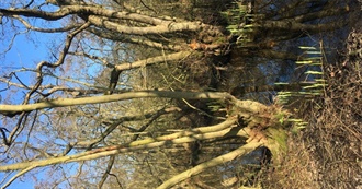 January to March 2024 Books