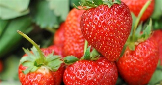 Big T&#39;s Popular Fruits of the World Part 10