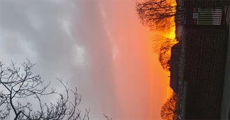 Films Charlot Saw in January 2025