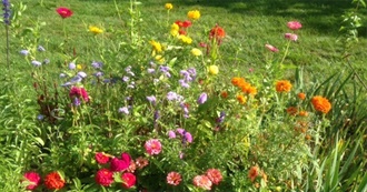 Lightening the TBR Shelf: Voting on 2021 Summer Reads