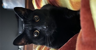 Dayntee&#39;s Top Movies