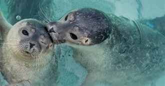 Jessa&#39;s Top Hundo (Movies Ive Seen and Liked)