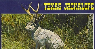 Drač&#237; Movie List