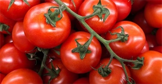 Zoe&#39;s Favourite Foods