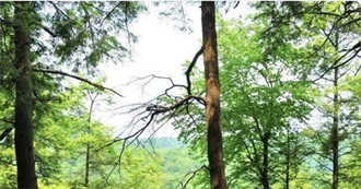 Last Ten Bowman Watched #185