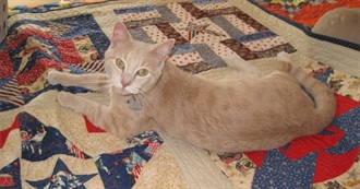 What Calaryllis Has Read in 2025