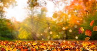 Lobsy September 2022