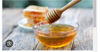 Big T&#39;s Food Eaten Today 494