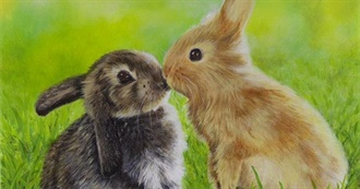 Books With Bunnies on the Cover