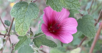 Reba Anne&#39;s Read in 2024