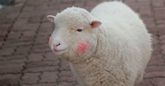 Joan World of ALBUMS World