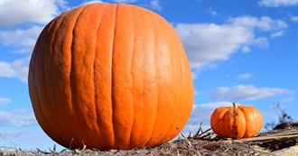 Books in Maria&#39;s Bookshelf