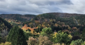 Maddie&#39;s Movie List