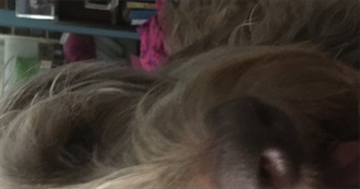 You Must Read These at Least Once