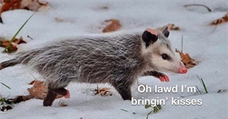 Prox&#39;s Lifelong Media Influences