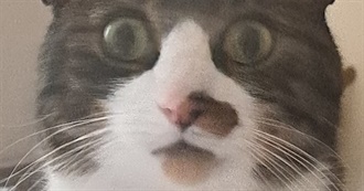 Cerebulon&#39;s Films of All Time