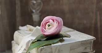 The 2018 AAR&#39;s Top 100 Romances List