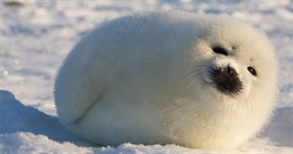 101 Kaz Defining Albums