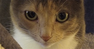 Xanthosgambit&#39;s Movie Shelf