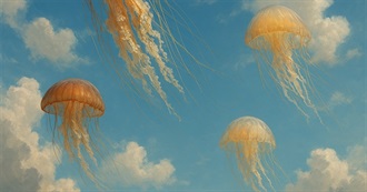 Cult Movies to See in a Cloud of Jelly Fish