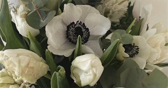 A Book a Day? Really? - YES, Really!