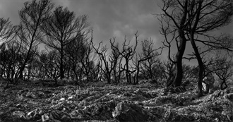 A Personal Apocalypse