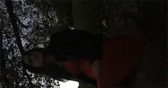 Daisyknife&#39;s 100 Films She Has Seen and Remembered for This List