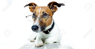 Books That Emily Wants to Read!