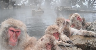 Best Spa and Soak Around the World