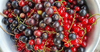 40 Foods With Currants