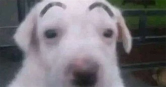 Birdie&#39;s Favs &lt;3