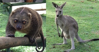 Fictional Marsupials