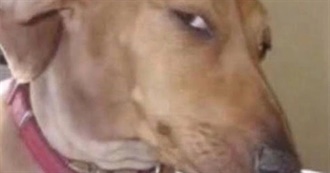 May&#39;s Top 100 Songs