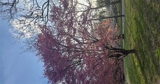 Bri&#39;s 50 Favorite Books