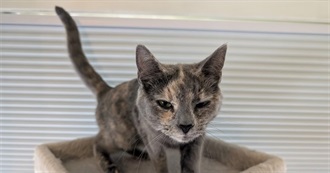 Rockie&#39;s Top 51 Books