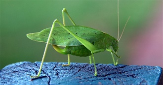 Brainlessspiritoat&#39;s Top 100 Movies