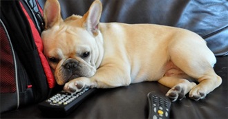 Cupcakequeen's Favorite Songs