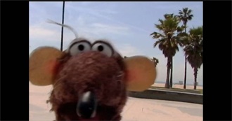 Gracie Fans Grab Your Nectarines