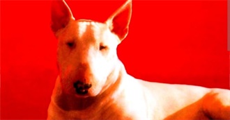 Rosie&#39;s Movies From the &#39;80s XXXI