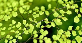 15 Lush Nature-Based Fantasy Novels to Celebrate Spring